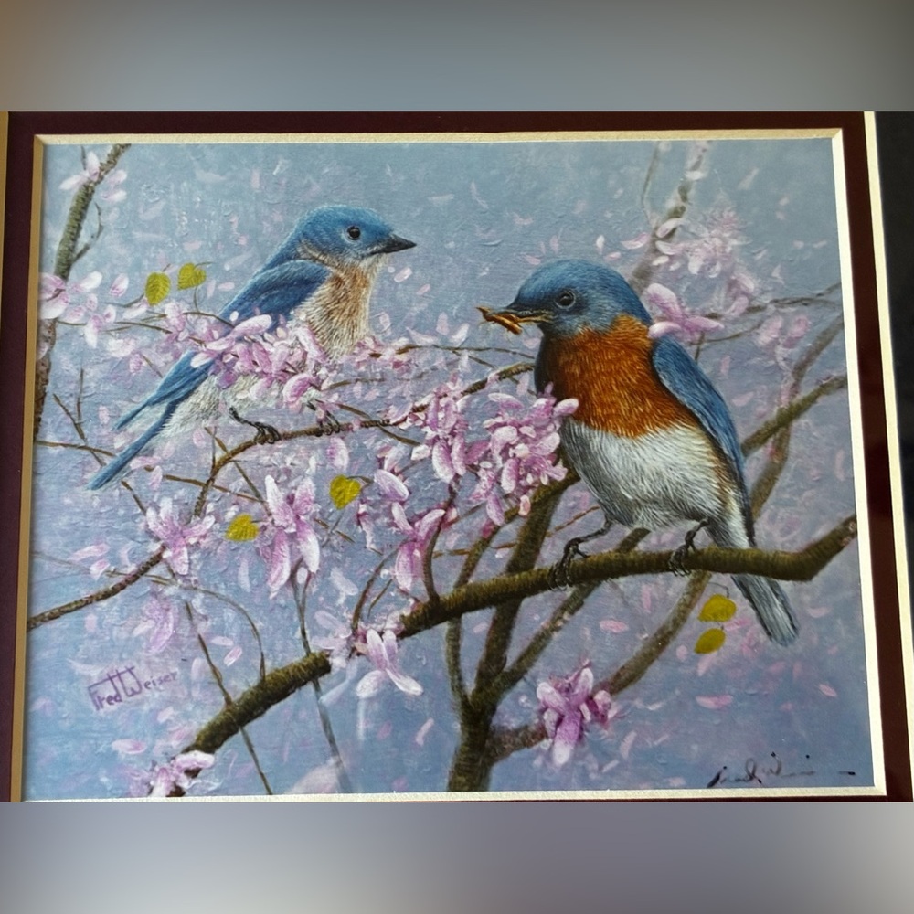 Fred Weiser Bluebird Print  with Pink Blossoms